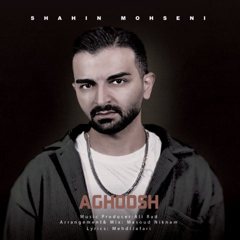 دانلود آهنگ شاهین محسنی آغوش دانلود آهنگ شاهین محسنی آغوش